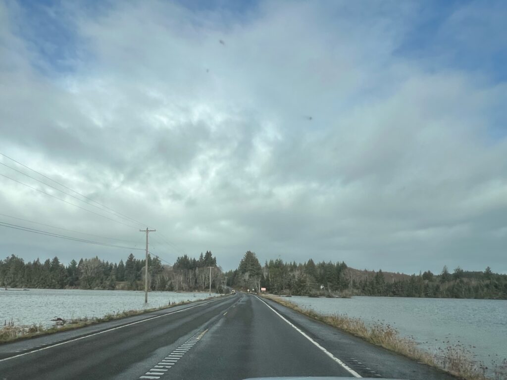 a road with water on the side (MyCoast AI)