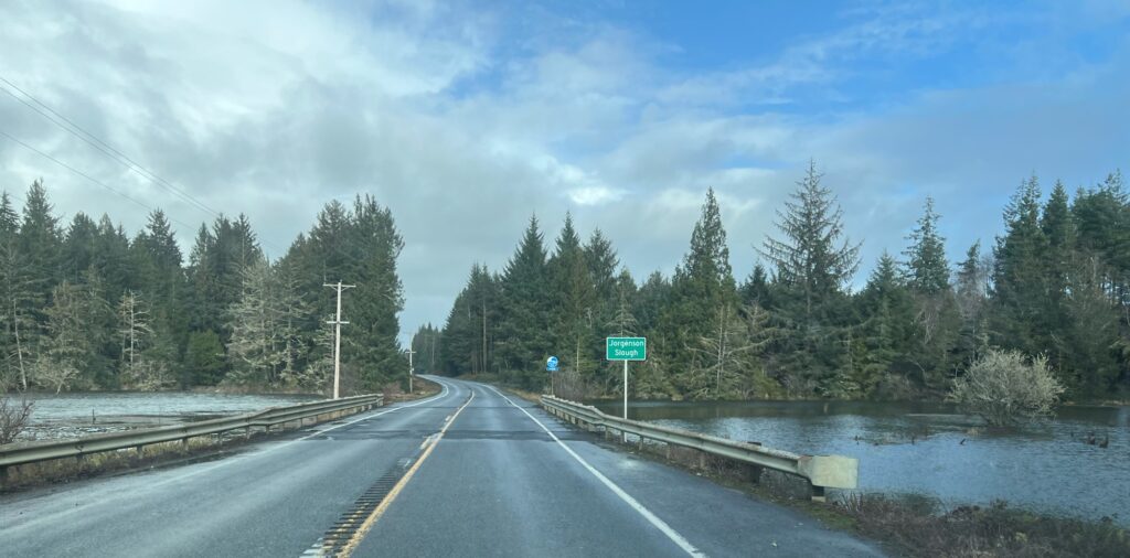 a road with trees on the side (MyCoast AI)