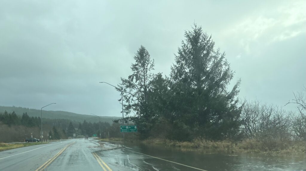 a road with trees on the side (MyCoast AI)