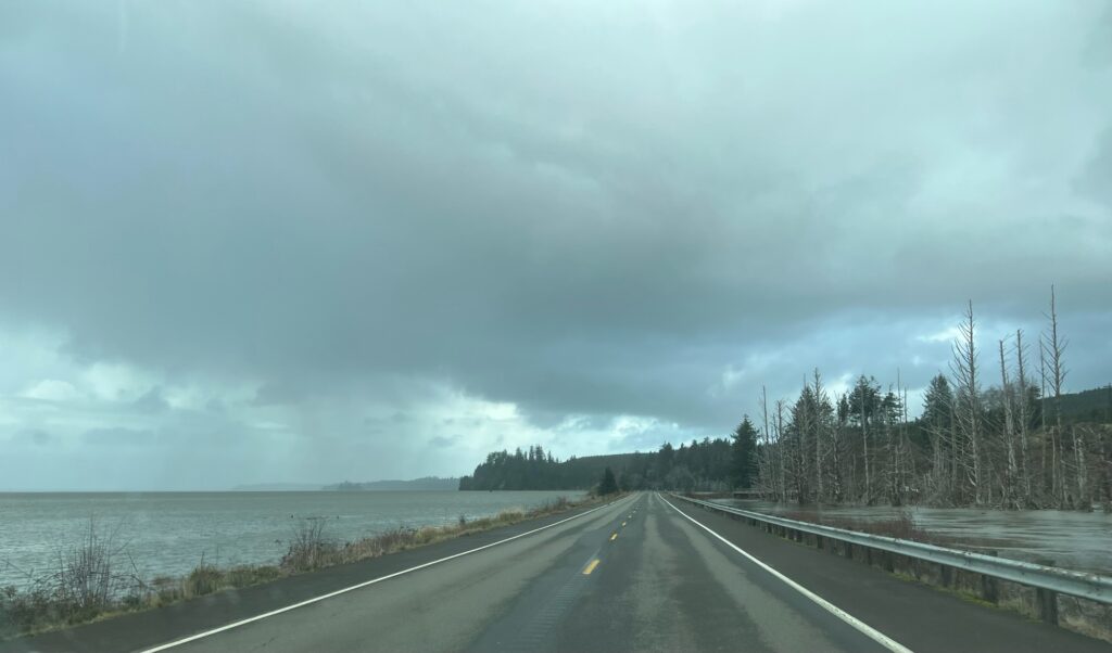 a road with trees on the side (MyCoast AI)