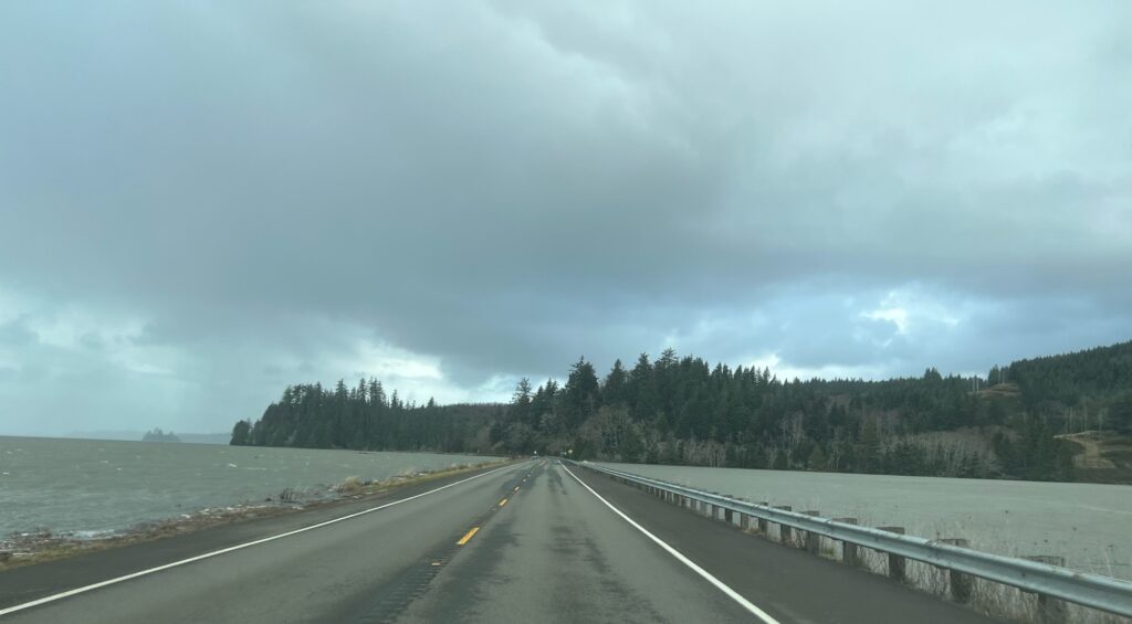 a road with trees on the side (MyCoast AI)