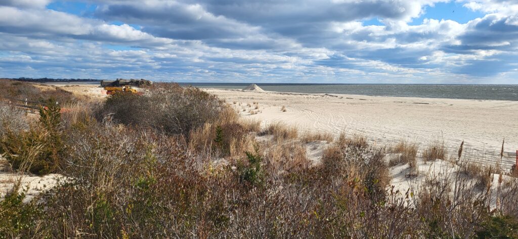 a sandy beach with bushes and grass (MyCoast AI)