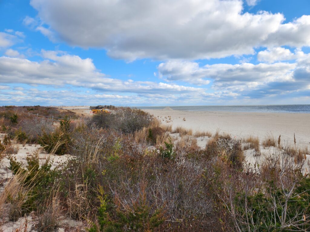 a sandy beach with bushes and trees (MyCoast AI)