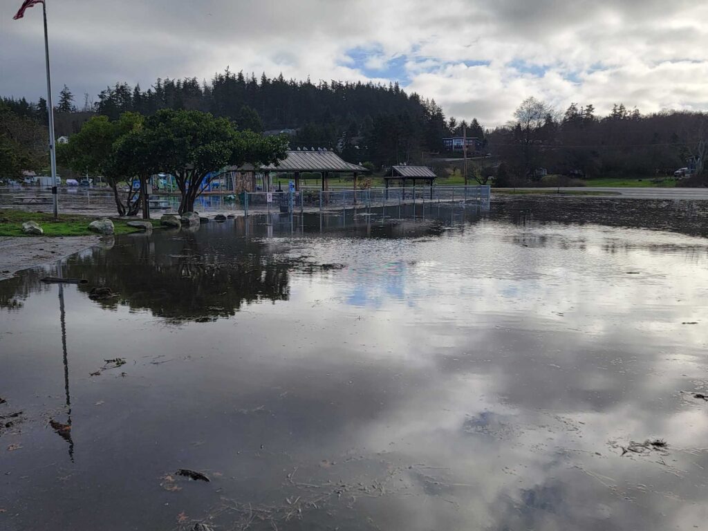 a body of water with a dock and trees in the background (MyCoast AI)