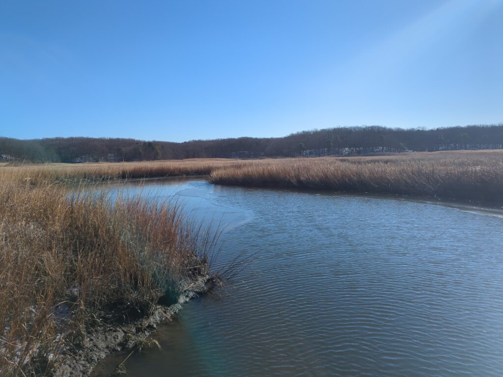 a body of water with grass and trees around it (MyCoast AI)