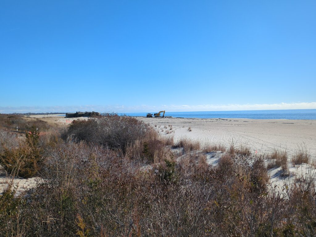 a field of dry grass (MyCoast AI)