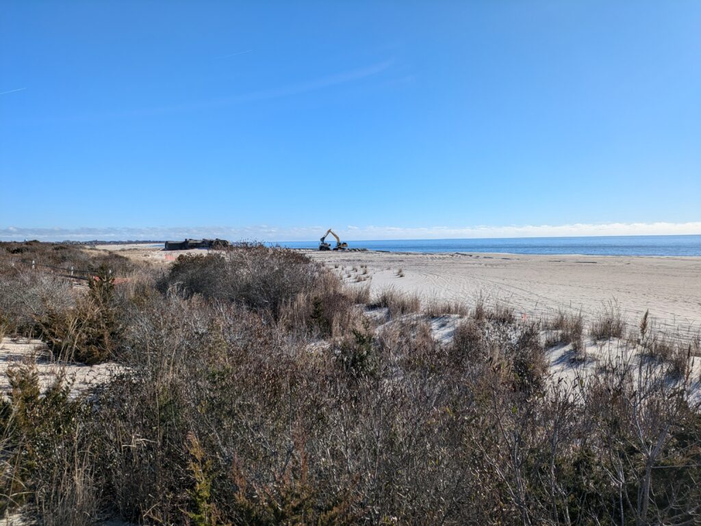 a field of dry grass (MyCoast AI)