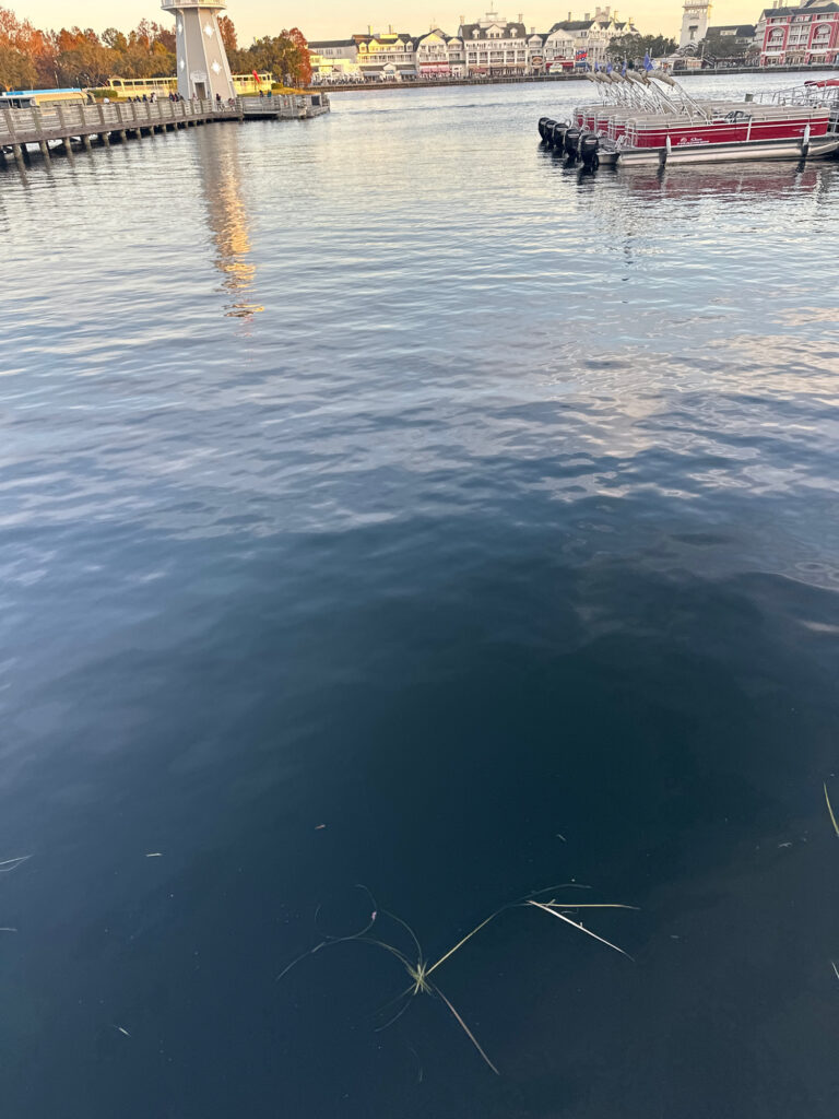 a body of water with boats in it and buildings in the background (MyCoast AI)