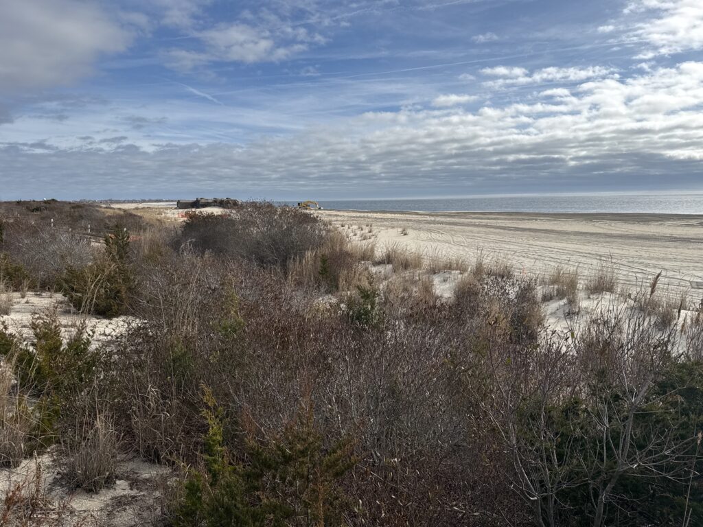 a landscape with bushes and trees (MyCoast AI)