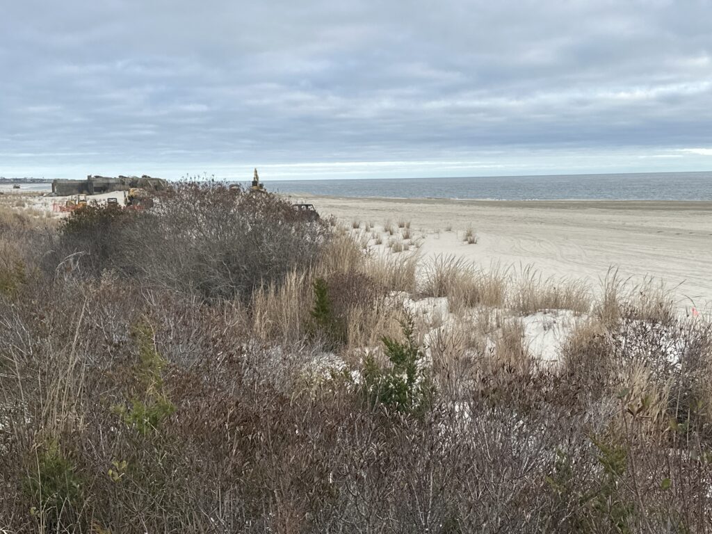a field of dry grass (MyCoast AI)