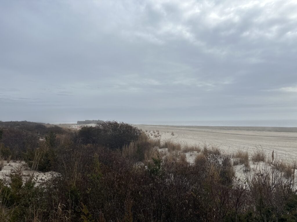 a landscape with trees and bushes (MyCoast AI)