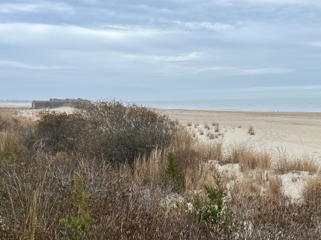 a field of dry grass (MyCoast AI)