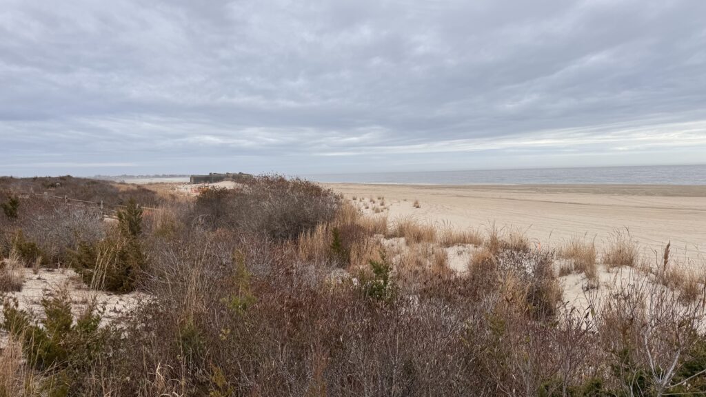 a field of dry grass (MyCoast AI)