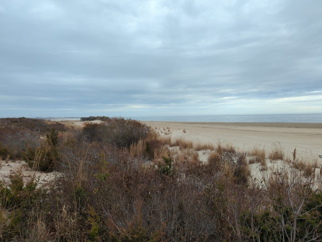 a sandy beach with bushes and trees (MyCoast AI)
