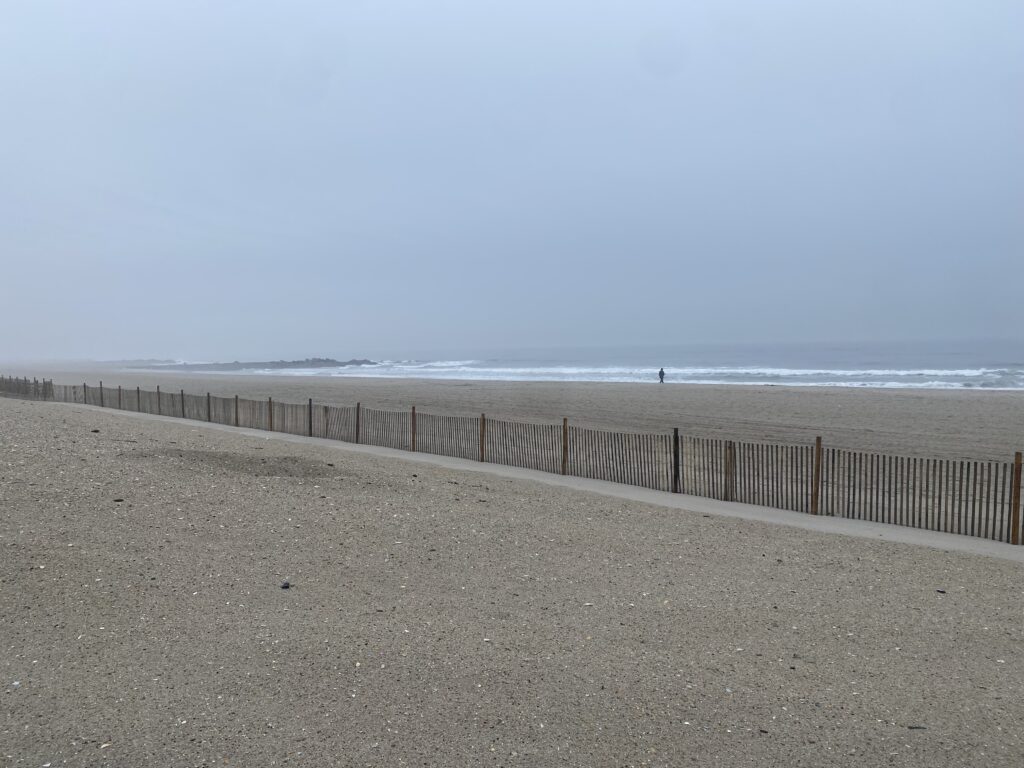 a beach with a wood fence (MyCoast AI)