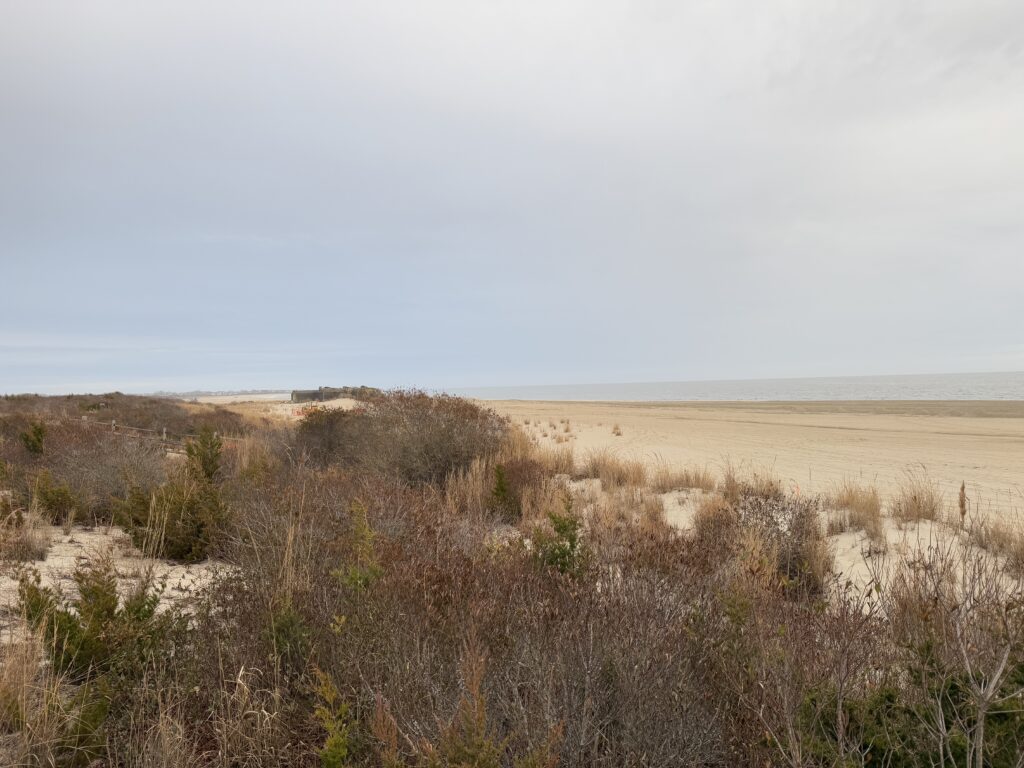 a field of dry grass (MyCoast AI)