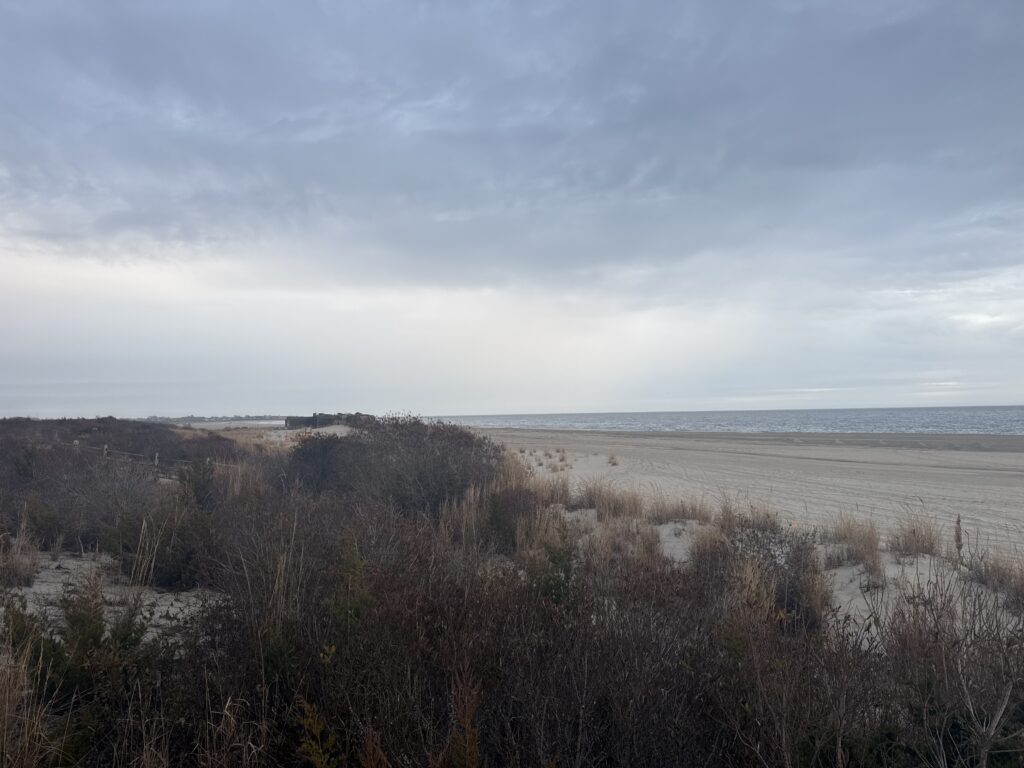 a landscape with trees and water in the background (MyCoast AI)