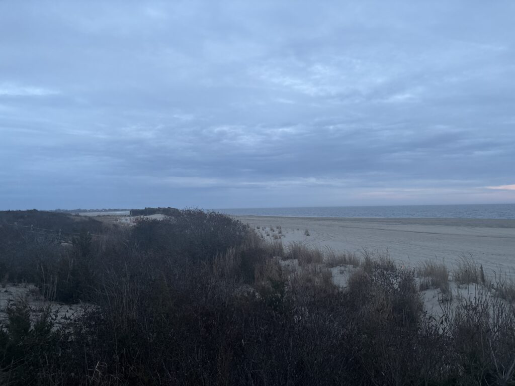 a landscape with trees and water (MyCoast AI)