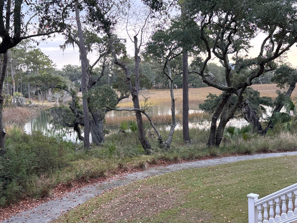 a path with trees and grass by a body of water (MyCoast AI)