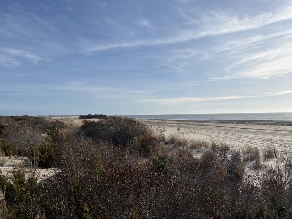 a sandy beach with bushes and grass (MyCoast AI)