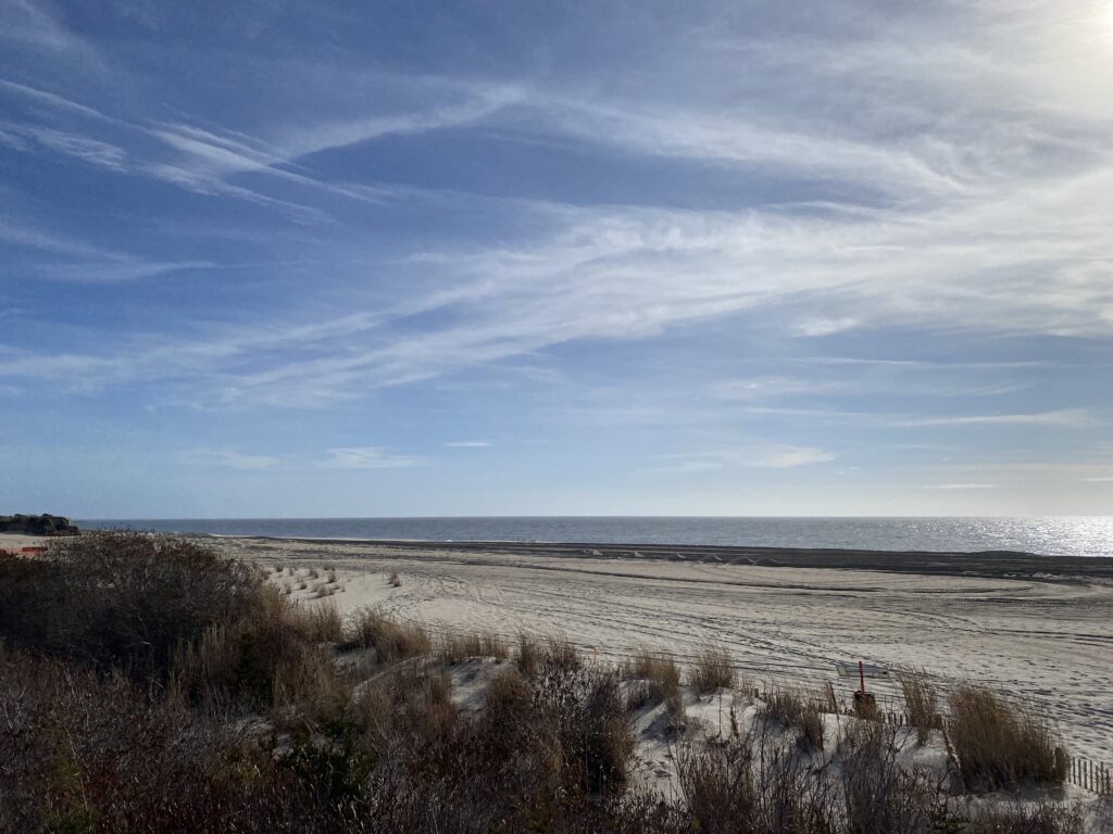 a sandy beach with bushes and grass (MyCoast AI)