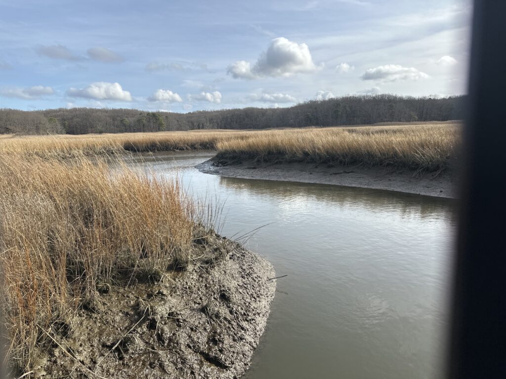a body of water with grass and trees around it (MyCoast AI)