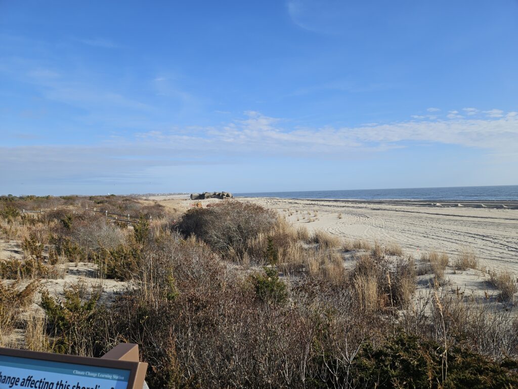 a sandy beach with bushes and trees (MyCoast AI)