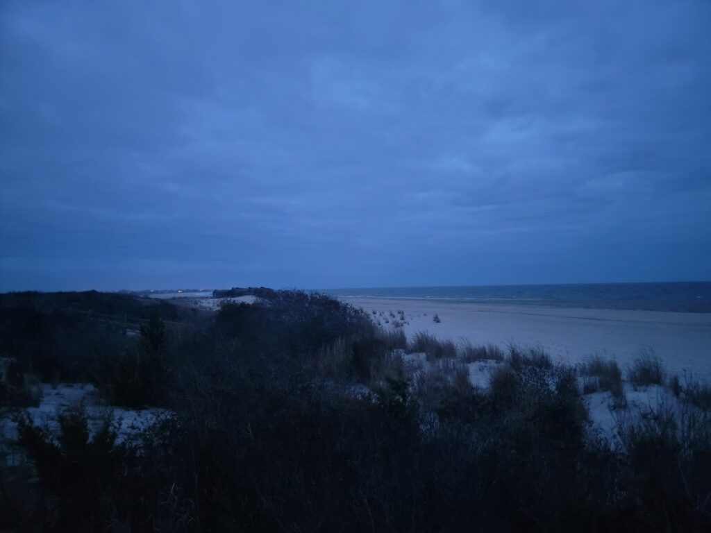 a landscape with trees and water (MyCoast AI)