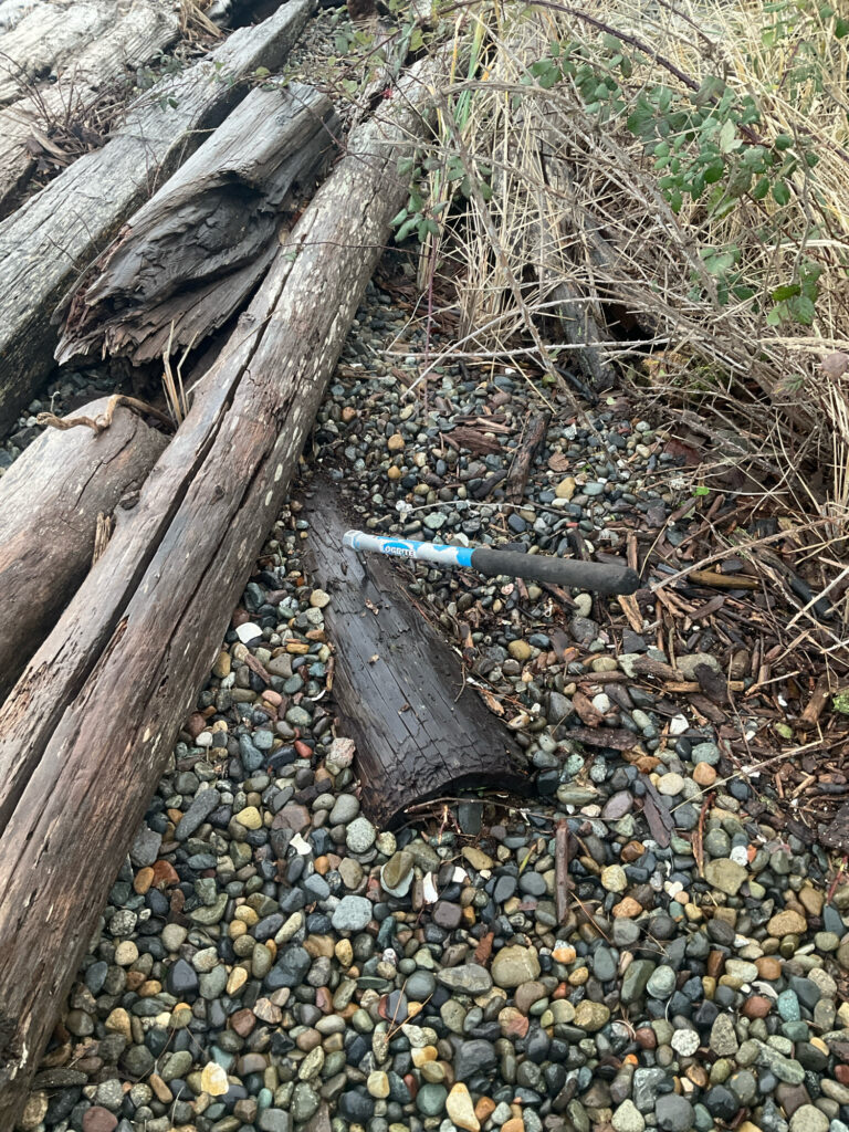 a knife on a log (MyCoast AI)