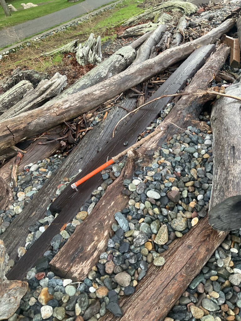 a group of wood pieces (MyCoast AI)