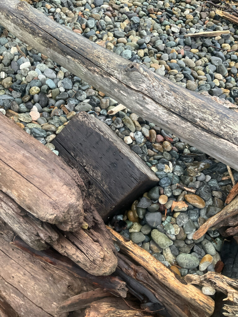 a pile of wood (MyCoast AI)