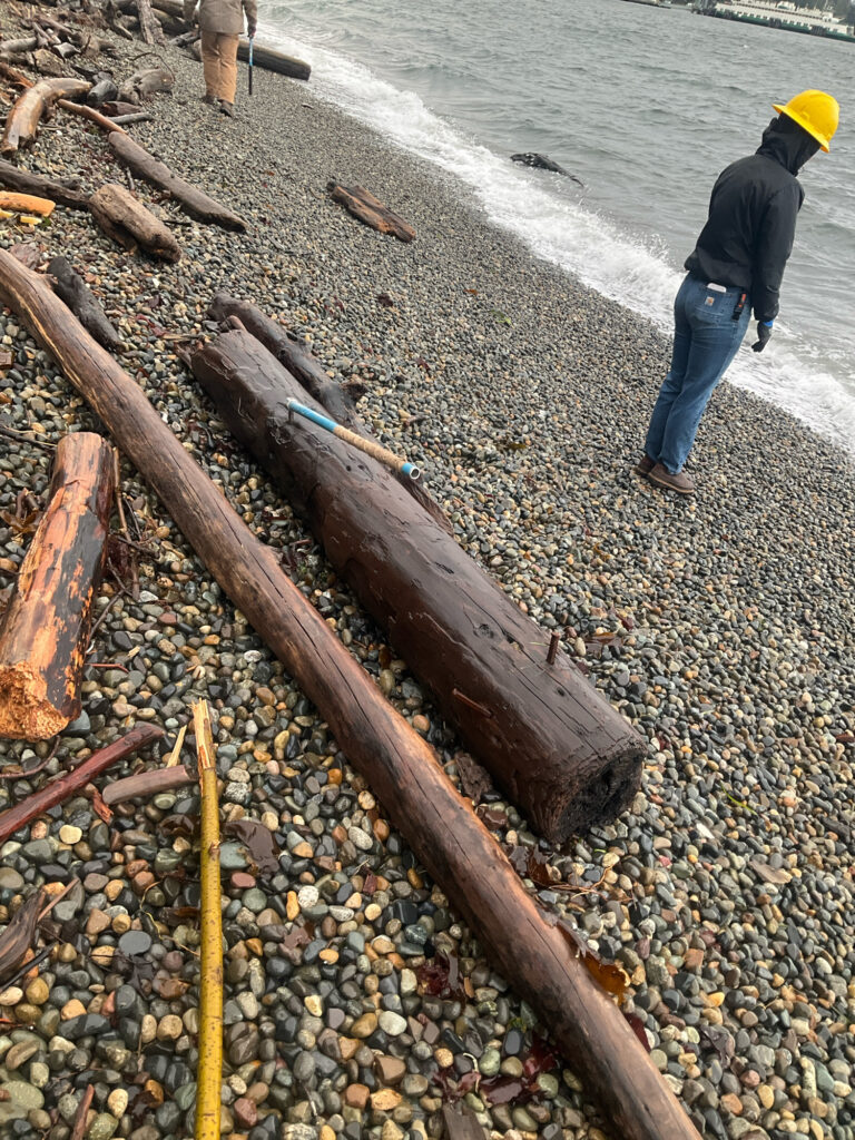 a person walking on a rocky beach (MyCoast AI)