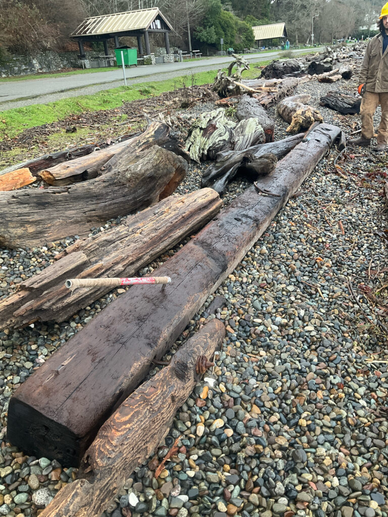 a pile of cut wood (MyCoast AI)