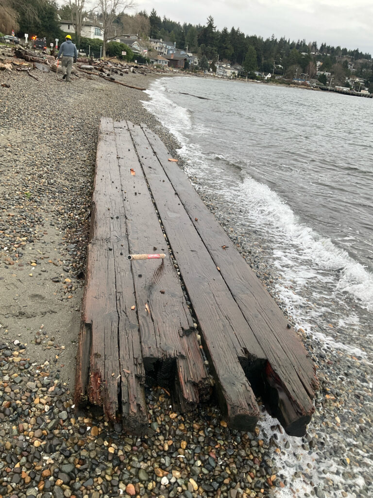 a wooden dock over a body of water (MyCoast AI)