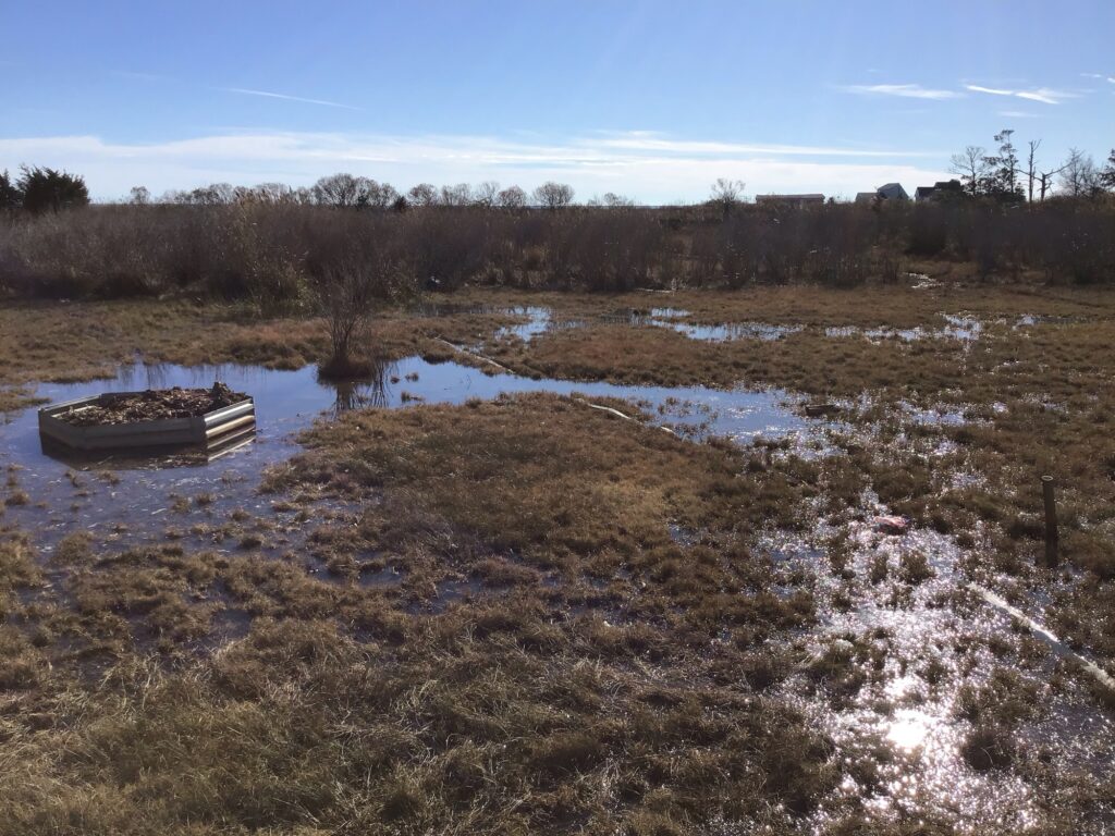 a small boat in a marsh (MyCoast AI)
