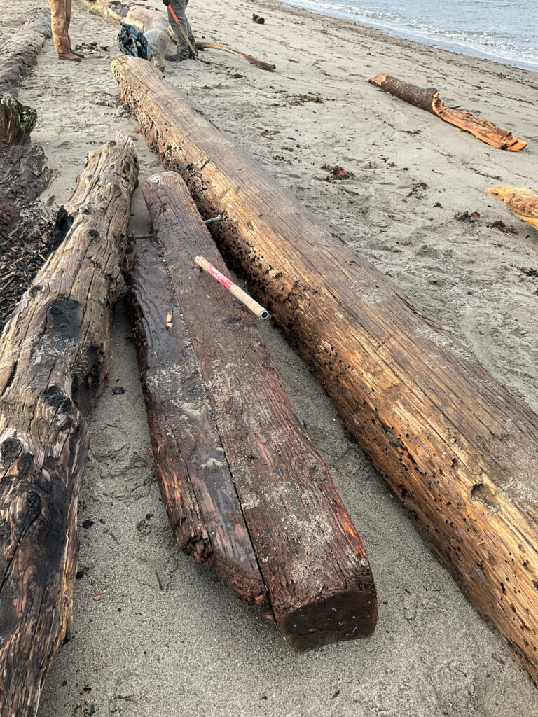 a wooden bench on a beach (MyCoast AI)