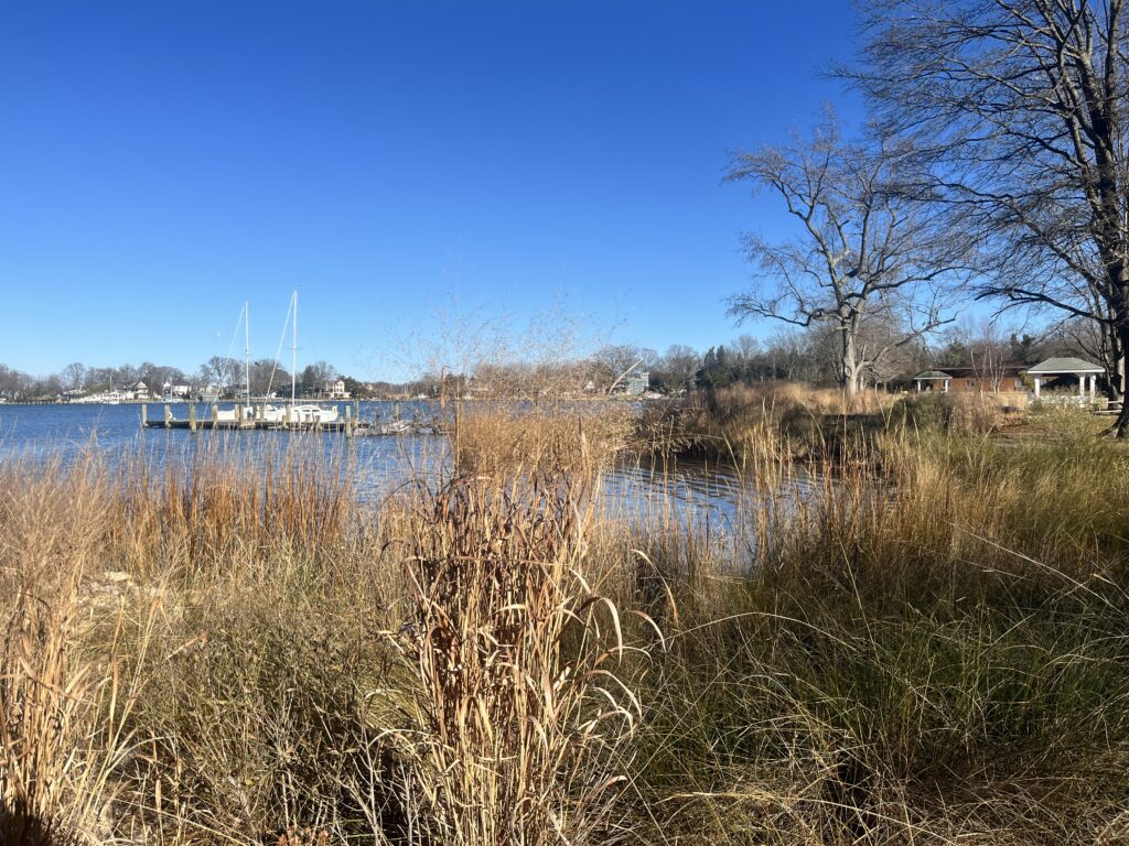 a body of water with grass and trees around it (MyCoast AI)