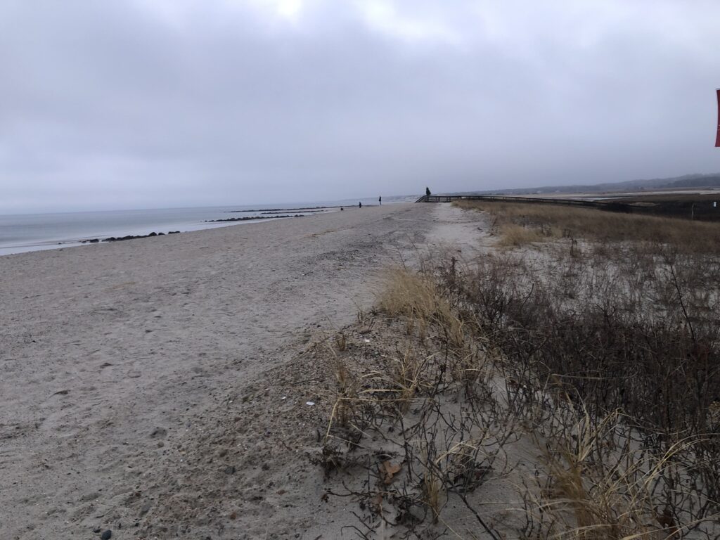 a sandy beach with bushes and trees (MyCoast AI)