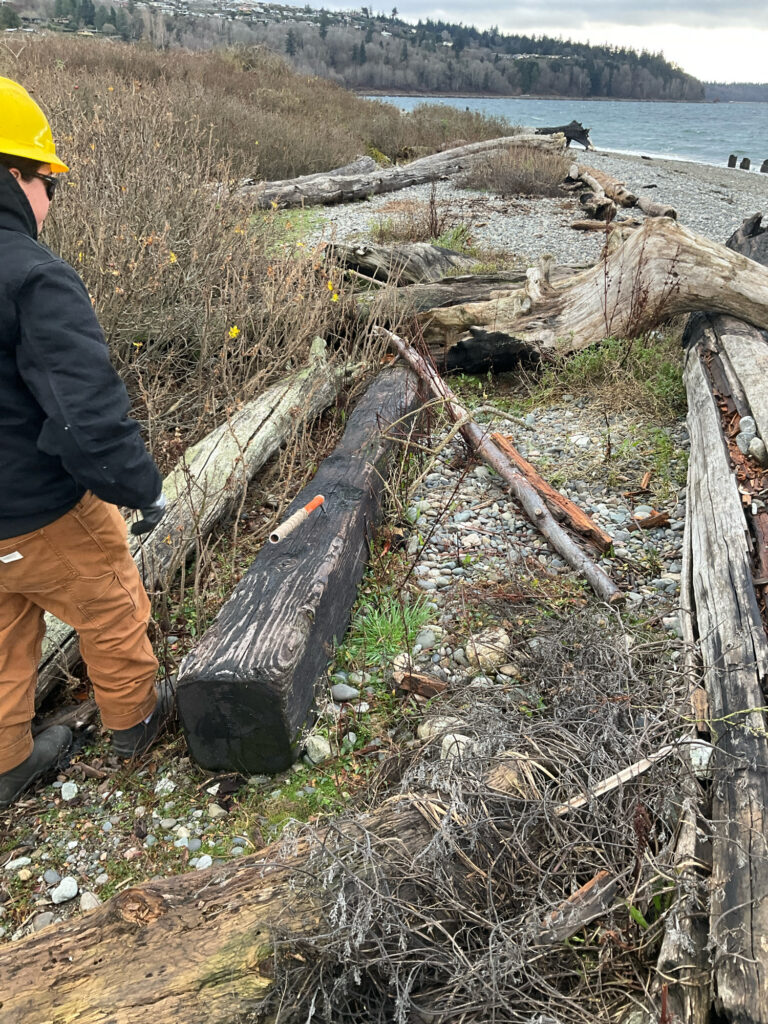 a man standing next to a pile of logs (MyCoast AI)
