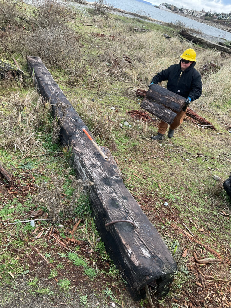 a man in a yellow hard hat squatting on a log (MyCoast AI)