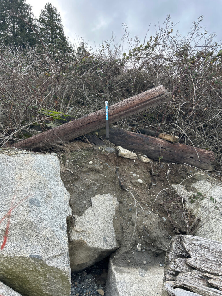 a cross on a rock (MyCoast AI)
