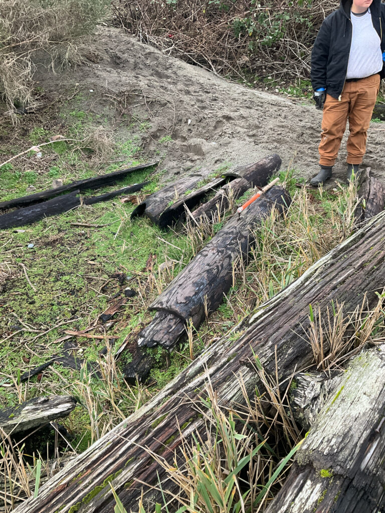 a man standing next to a pile of cut down trees (MyCoast AI)