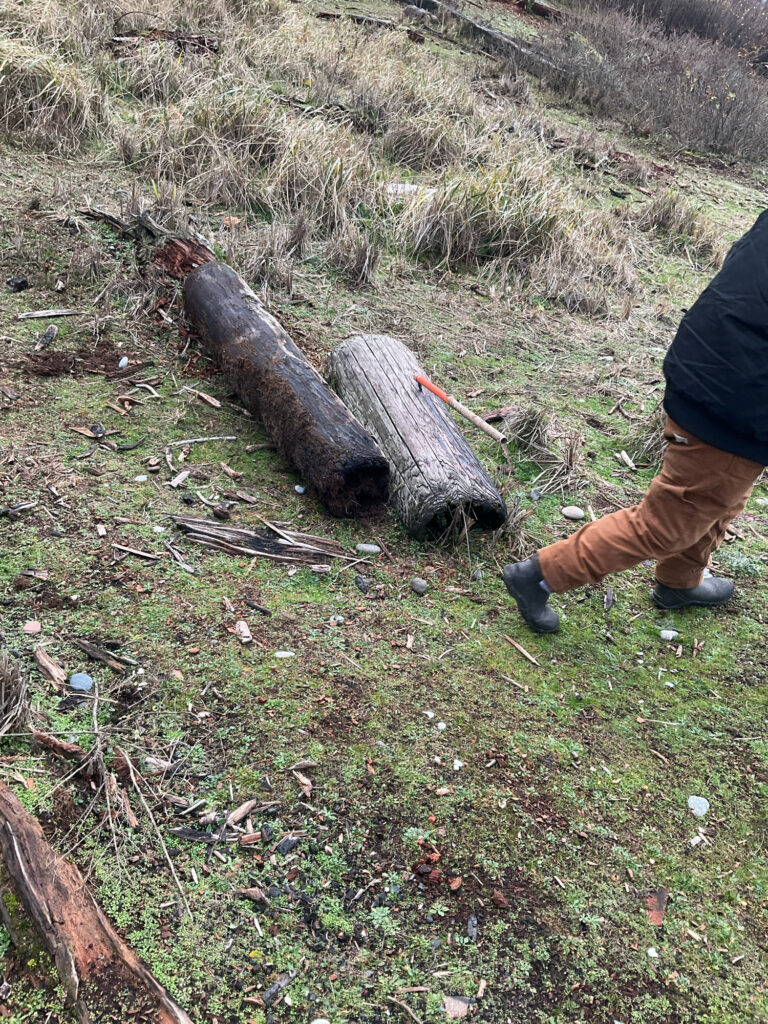 a person standing next to a log (MyCoast AI)