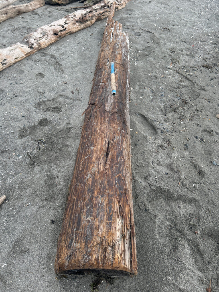a wood stick with a stick stuck in it (MyCoast AI)