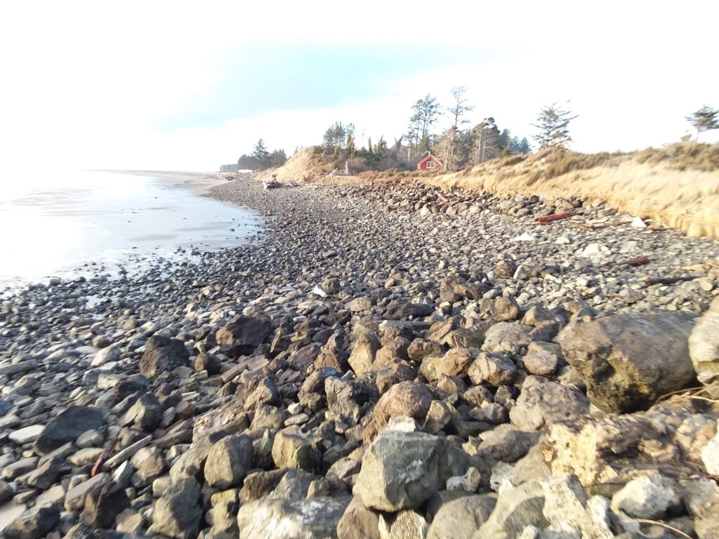 a rocky beach with a hill in the background (MyCoast AI)