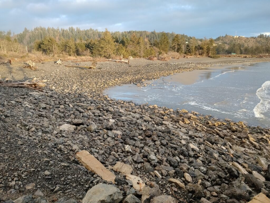a rocky beach with trees in the background (MyCoast AI)