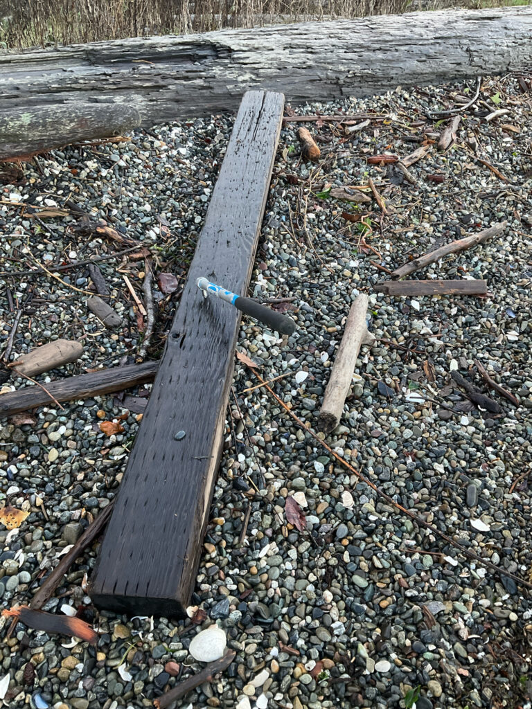 a wooden bench in a park (MyCoast AI)