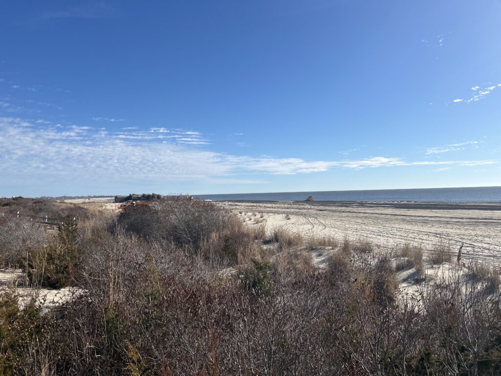 a field of dry grass (MyCoast AI)