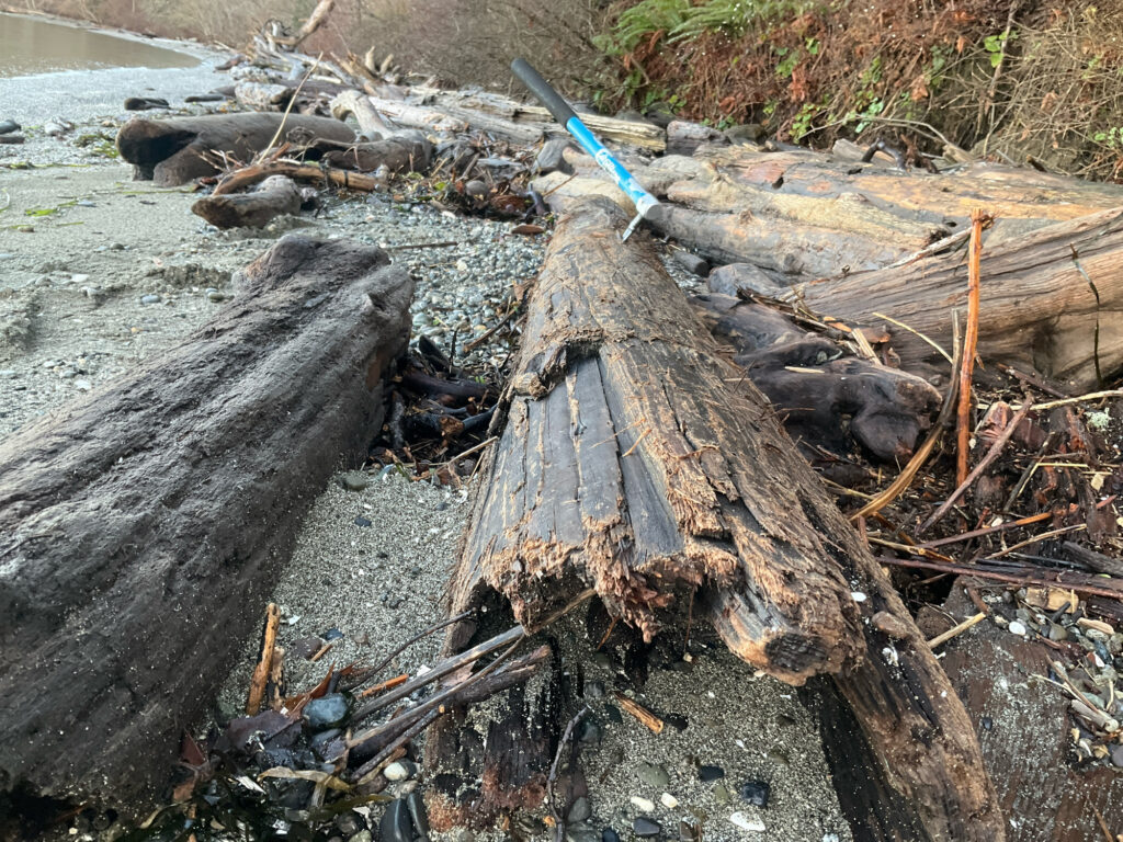 a pile of wood and debris (MyCoast AI)