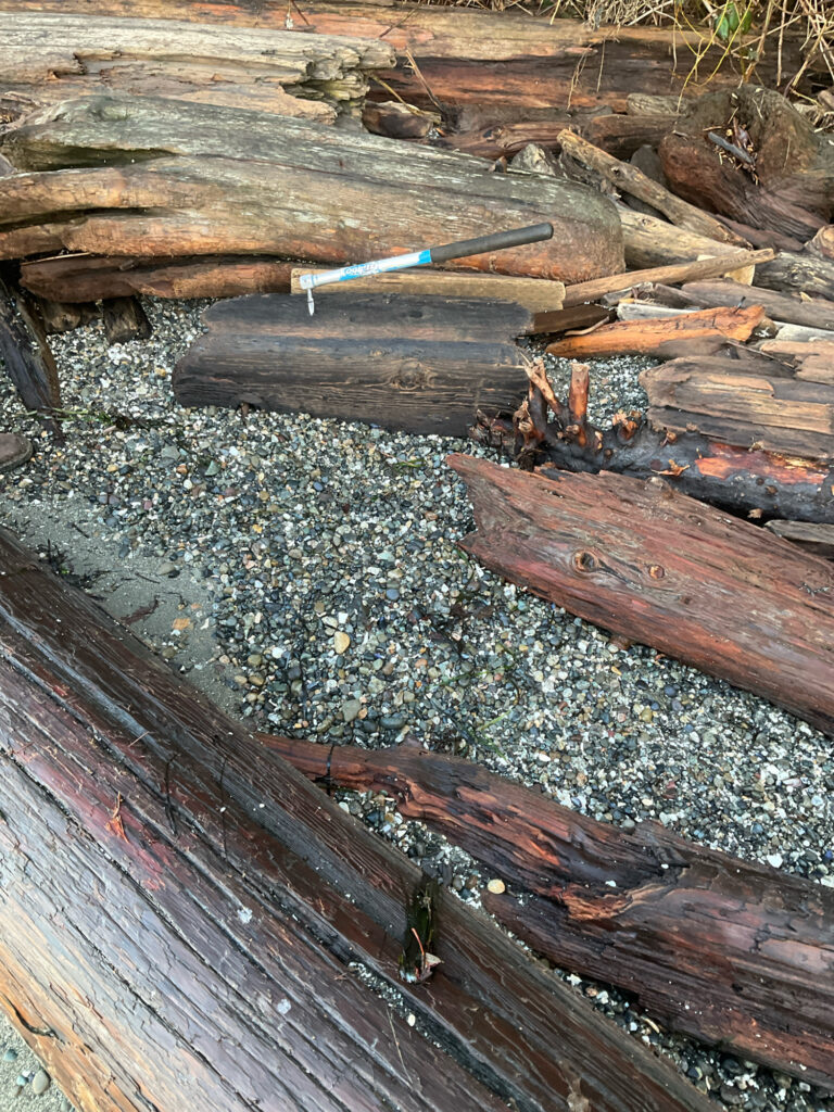 a pile of wood (MyCoast AI)